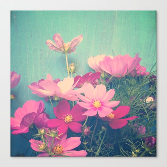 Pink Cosmos Canvas Print