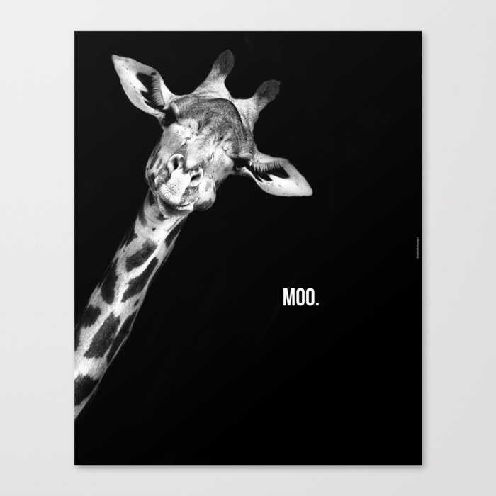 Funny Giraffe  Canvas Print