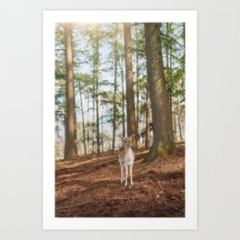 Young deer in the forest | Deer calf in the forest | A fawn in the heart of the forest Art Print