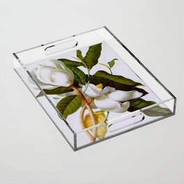 Vintage Botanical White Magnolia Flower Art Acrylic Tray