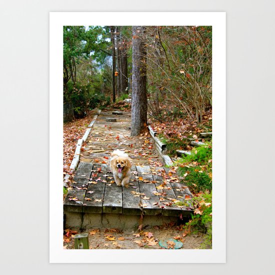 Autumn Stroll Art Print