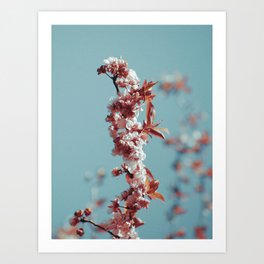 The feeling of new flowers | Flower photo print Art Print