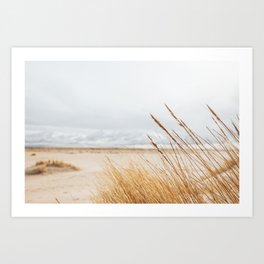 View from the grass | Beachlife in Holland Art Print