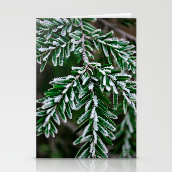 Frosted Hemlock Stationery Cards
