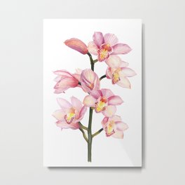 The Orchid, A Realistic Botanical Watercolor Painting Metal Print