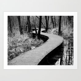 Winter landscape | Footpath shelves black white nature trees water photography Art Print