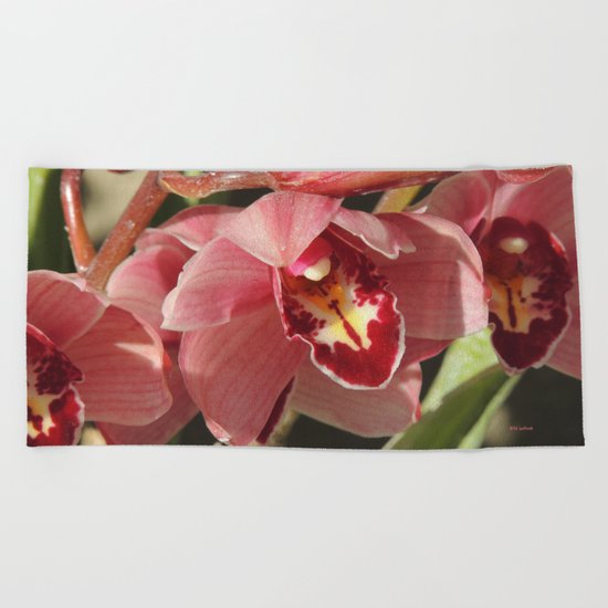 One Orchid on a Line Beach Towel