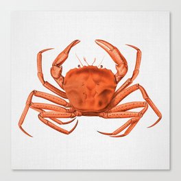 Crab - Watercolor Canvas Print