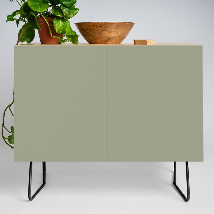 Moss Green Solid Color Hue Shade - Patternless Credenza