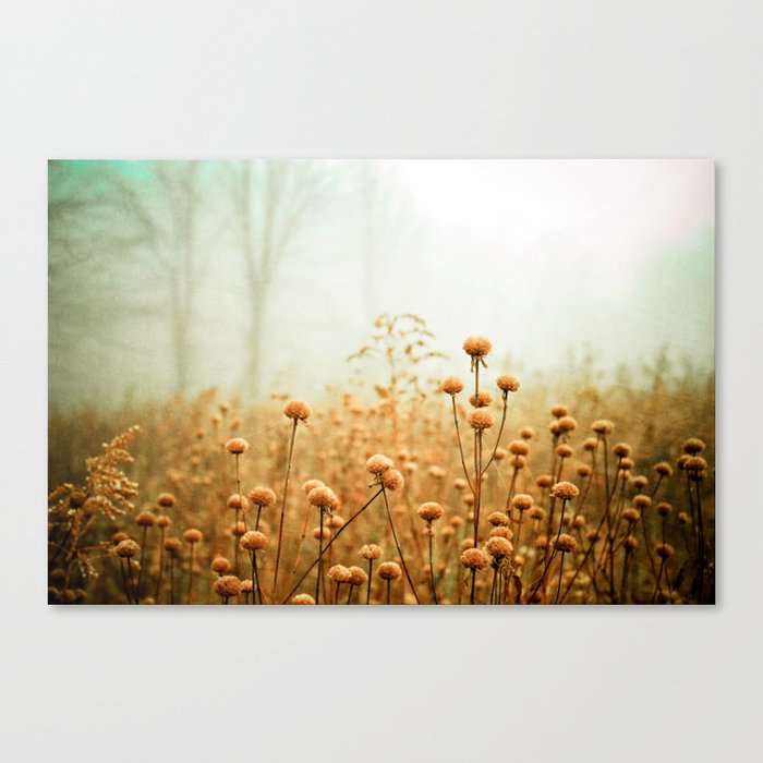 Daybreak in the Meadow Canvas Print