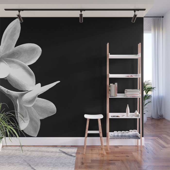White Flowers Black Background Wall Mural