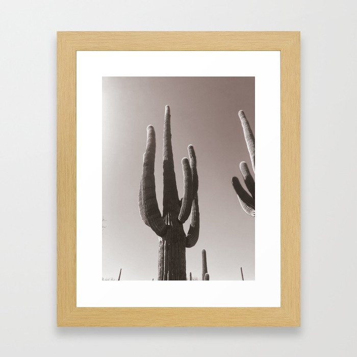 Sauguaros in B+W Framed Art Print
