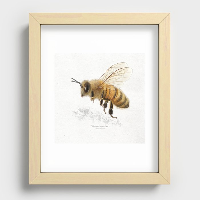 Recessed Framed Print
