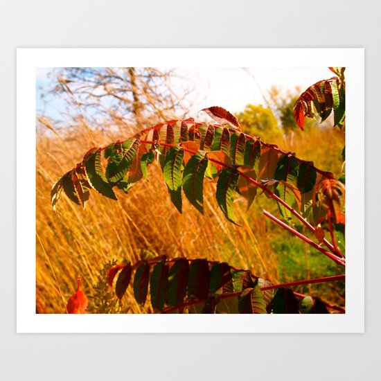 Another Autumn Art Print