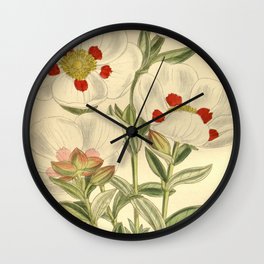 Cistus × loreti 139 8490 Wall Clock