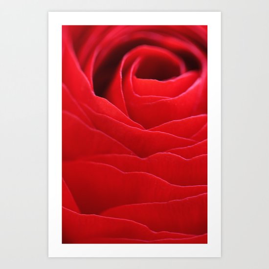 Rose Art Print
