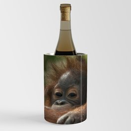 Baby Orangutan Wine Chiller