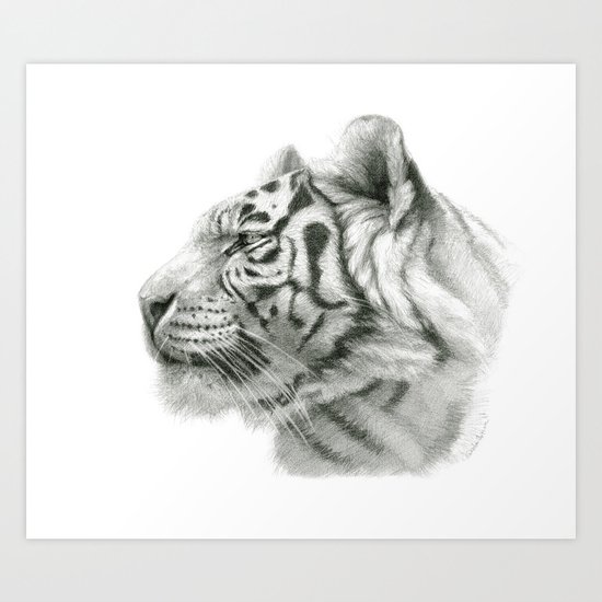 Tiger G2012-048 Art Print