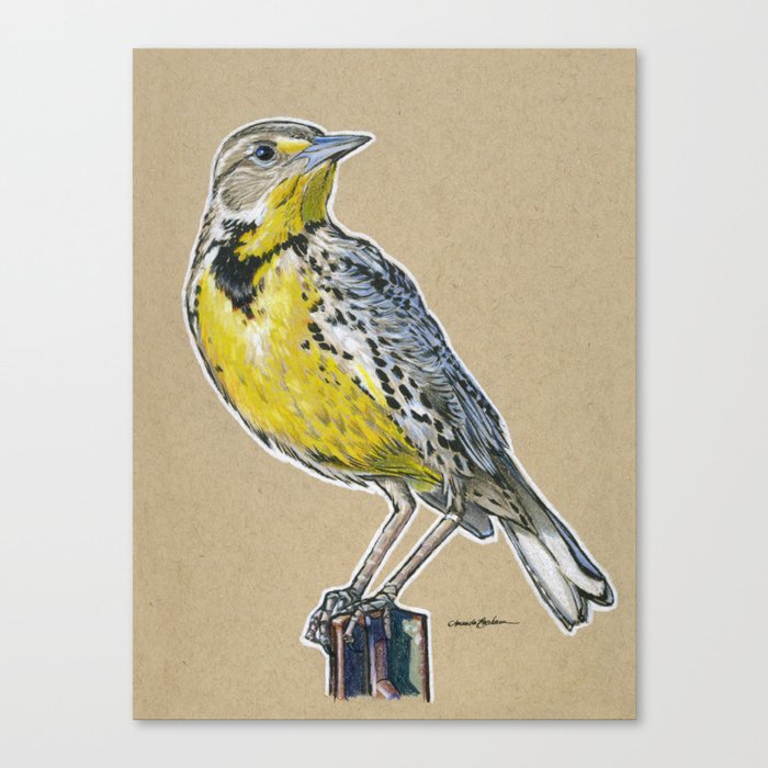 State Bird Series: Wyoming - Western Meadowlark Canvas Print