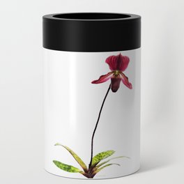 Lady's Slipper Orchid Flower Art Can Cooler