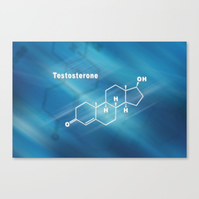 Testosterone Hormone Structural chemical formula Canvas Print