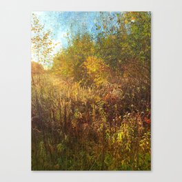 Sun Over a Golden Field Canvas Print