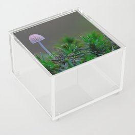 sweet little mushroom Acrylic Box