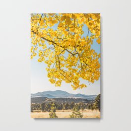 Yellow Aspen Tree & Blue Mountains in Flagstaff, Arizona Metal Print