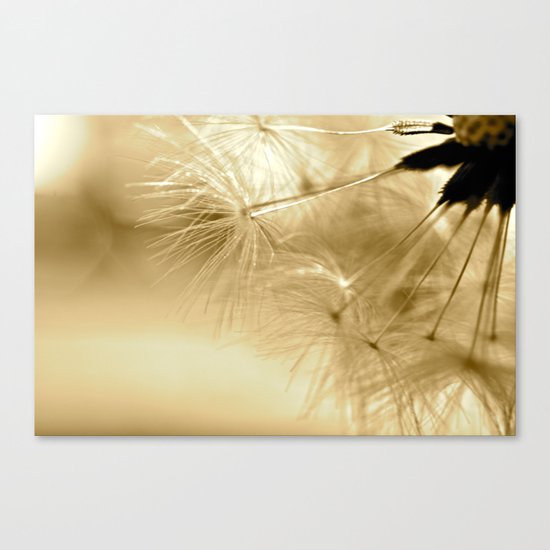 Diana's Dandelion Sepia Canvas Print