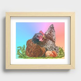Laying Hen Blue Laced Red Wyandotte Recessed Framed Print
