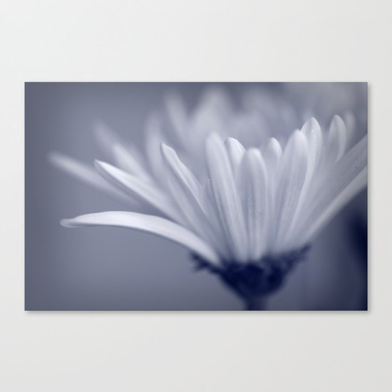 White Flower Macro Canvas Print