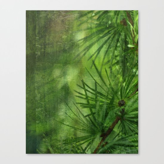 Mélèze Canvas Print