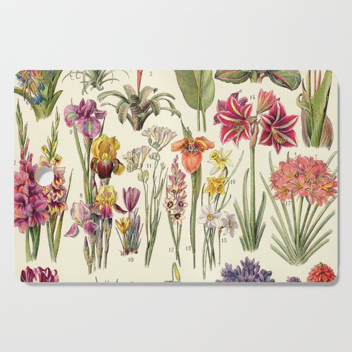 Adolphe Millot - Bromeliacees - liliacees - French vintage botanical illustration Cutting Board