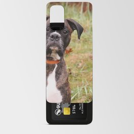 Boxer Dog Enjoying Photo Shoot  Android Card Case