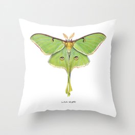 Luna Moth (Actias luna) II Throw Pillow