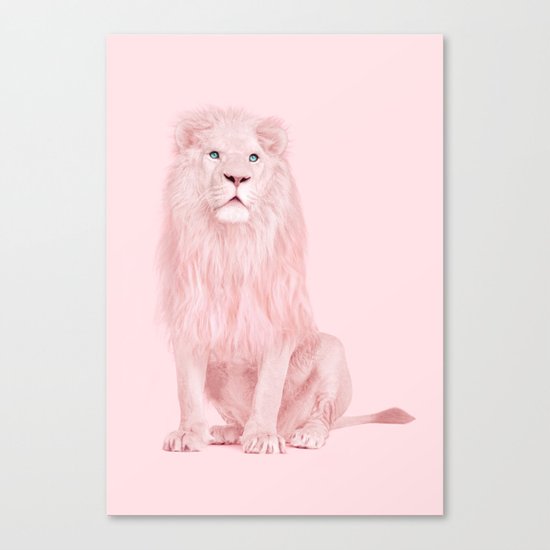 ALBINO LION Canvas Print