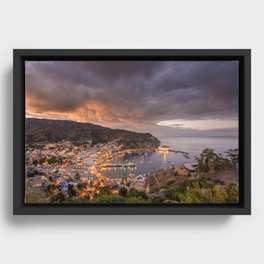 Harbor at Avalon on Catalina Island at Sunset Framed Canvas
