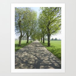 Avenue of Shade Art Print | Naturaltrees, Branchshadows, Shadyleafytrees, Parklife, Treeshadows, Treetrunks, Digital, Greengrass, Treelinedpath, Talltrees 