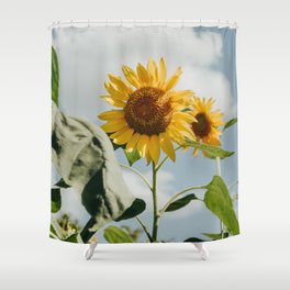 564 Sunflower Shower Curtain