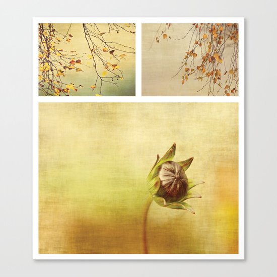 Triptych ~ Seasons Canvas Print