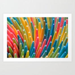Multicolored Wooden Toothpicks Abstract Photograph Art Print