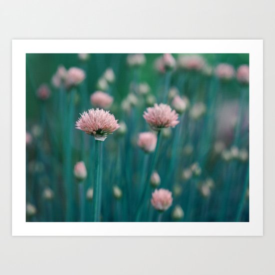 Blue Field Art Print