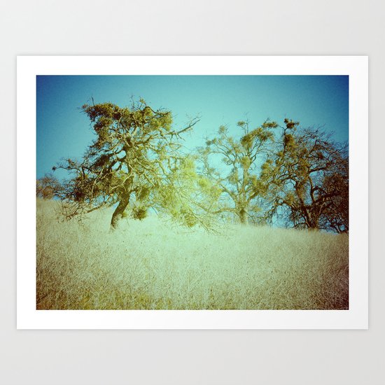 False Spring Art Print