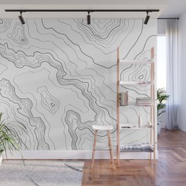 Topography map Wall Mural
