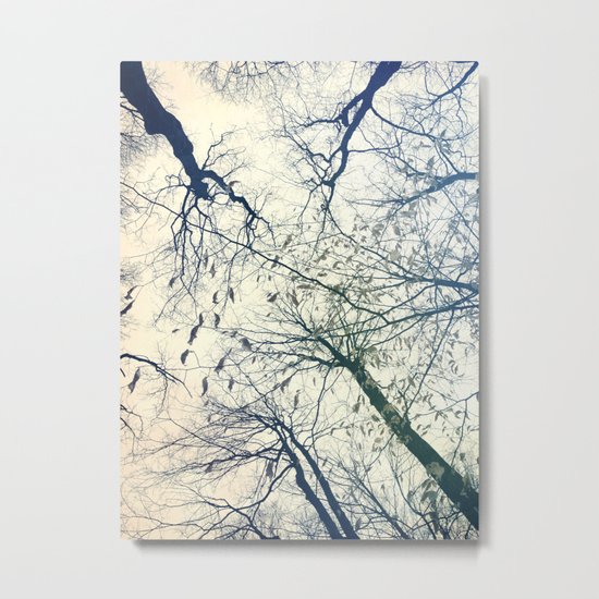 The Sky Above Metal Print