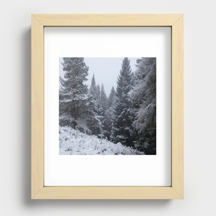 Winter Snow Scene in a Scottish Highlands Pine Forest Recessed Framed Print