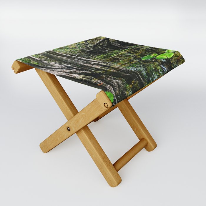 El Corchal | Flooded forest and mangroves in Solferino, Quintana Roo, Mexico Folding Stool