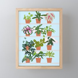 House Plants Window Garden Framed Mini Art Print