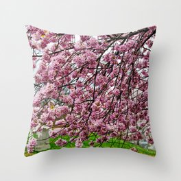 Happiness - Spring Blossoms Throw Pillow