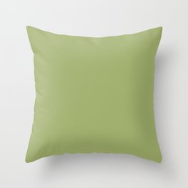 SAGE GREEN solid color Throw Pillow